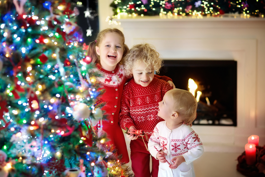 Fireplaces Ottawa, Christmas Tree, Fireplace, Christmas